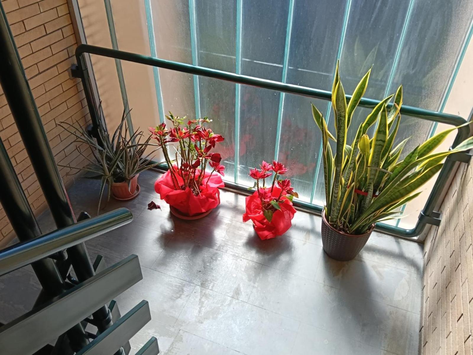 Yana Apartment Rom